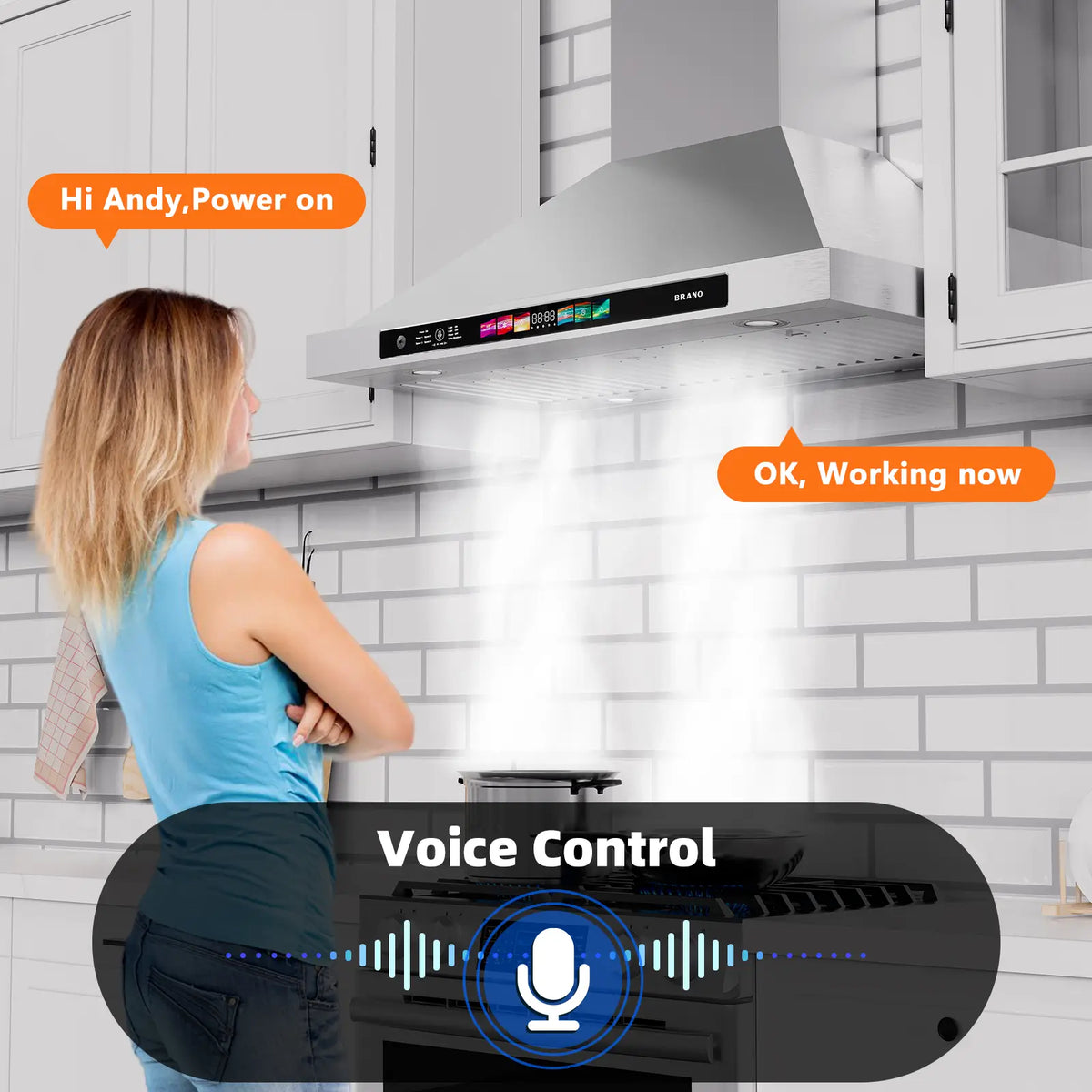 30 Inch Convertible Wall Mounted Stove Hood (TW03S-V30) - Brano