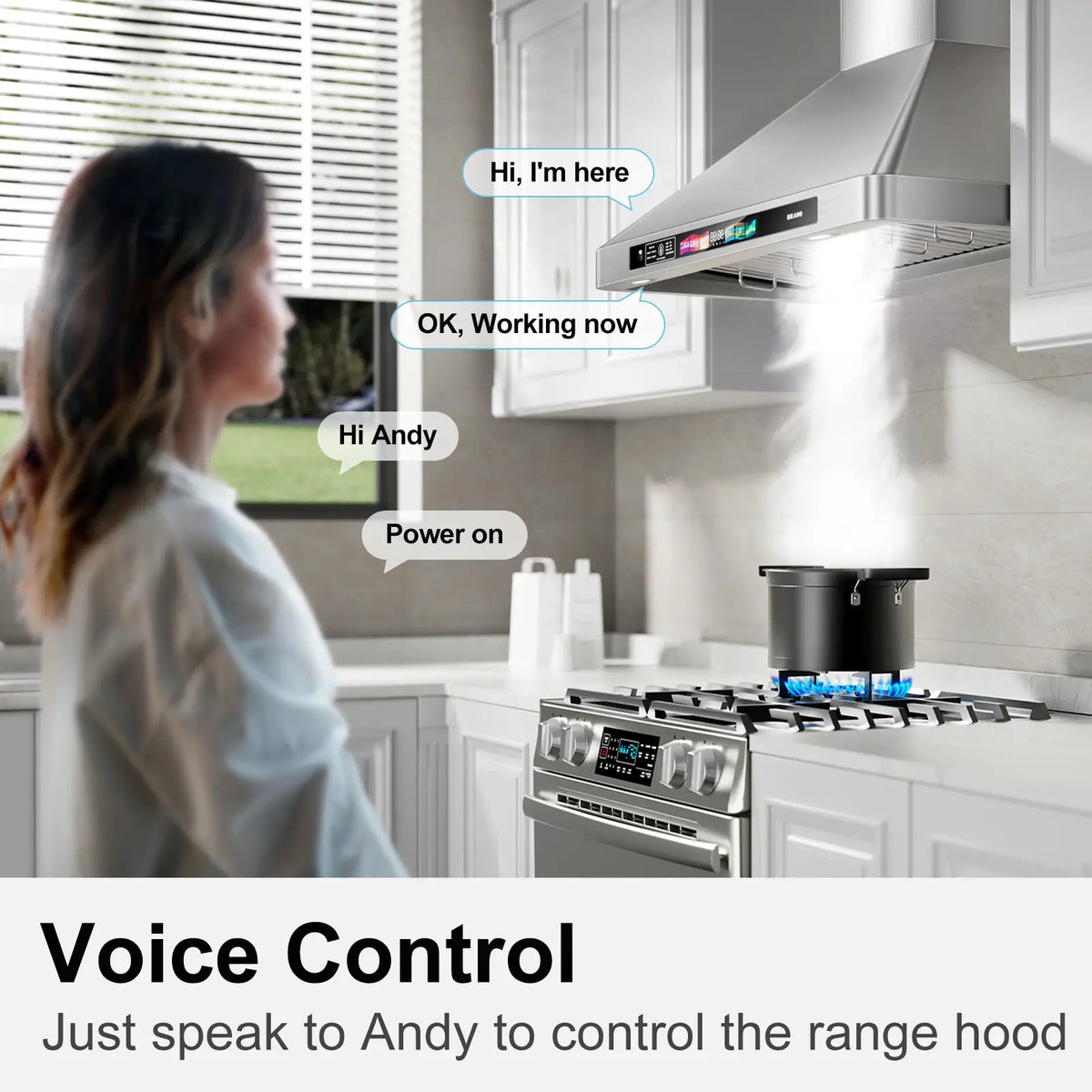 30 Inch Ductless Wall Mount Range Hood With Smart Control (TSR07B-V30) - Brano