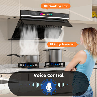 BRANO Smart Side Suction Under Cabinet Kitchen Hood Cooking (GXEA-T06-30)